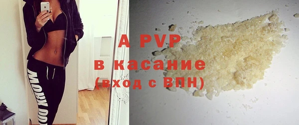 шишки Белокуриха