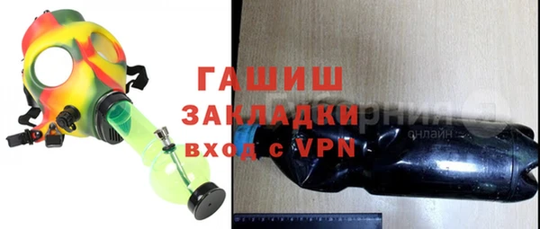 шишки Белокуриха
