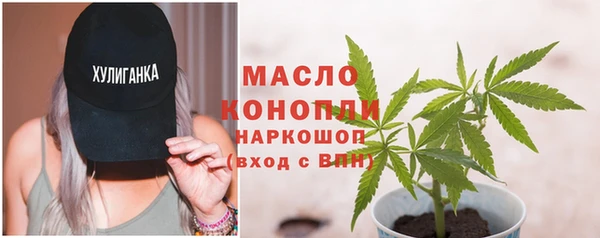 шишки Белокуриха