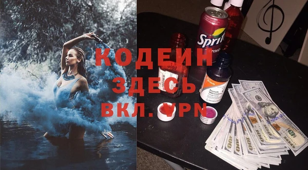 шишки Белокуриха