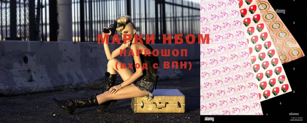 шишки Белокуриха