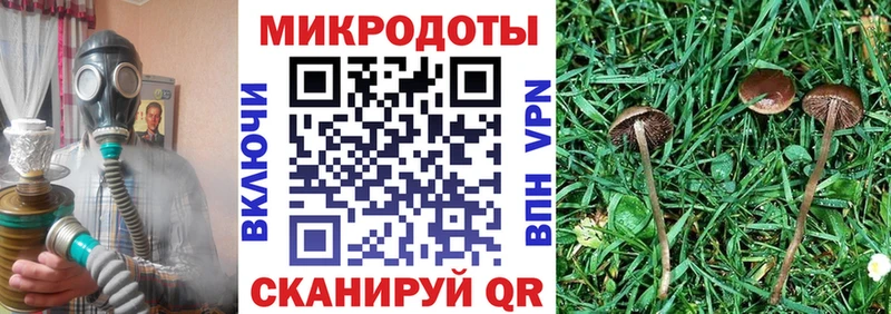 хочу наркоту  Луховицы  KRAKEN как войти  Галлюциногенные грибы Cubensis 